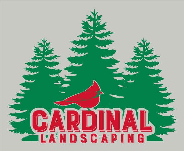 61699 Charles Ferrante- Cardinal Landscaping - Big back